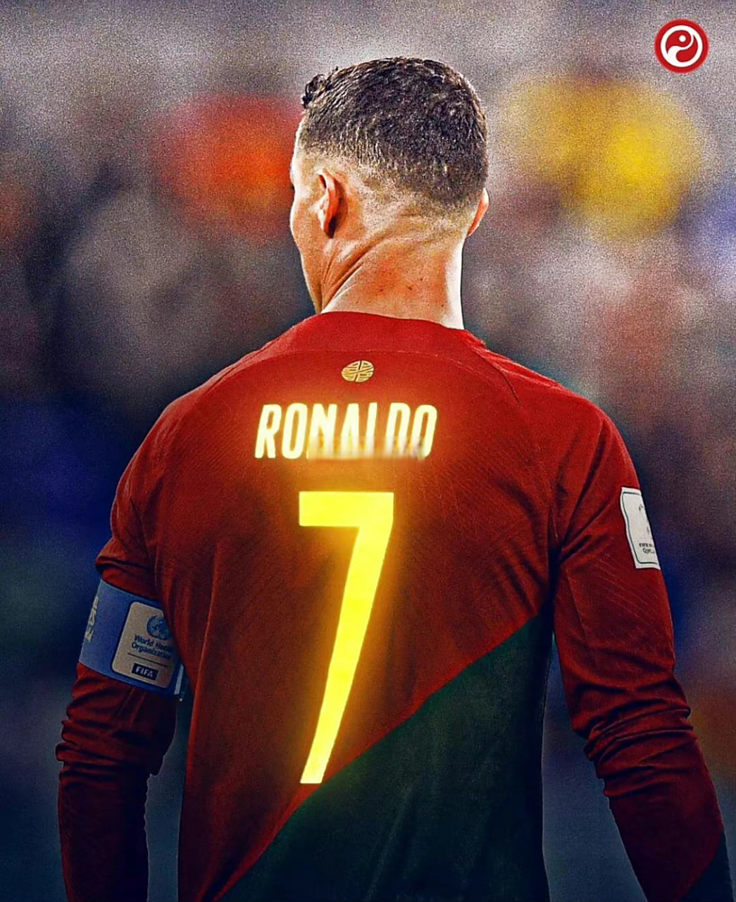 关于乌拉圭翻盘荷兰，布鲁诺一己之力扛起全队的信息