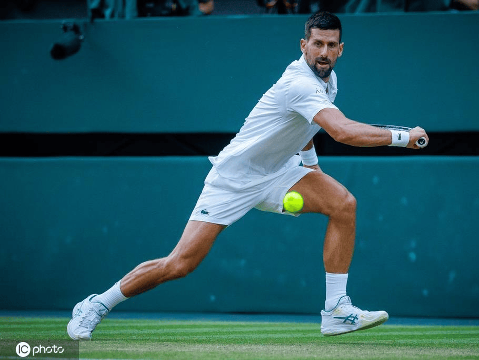 关于美网横扫年终总决赛，德约科维奇刷新纪录的信息