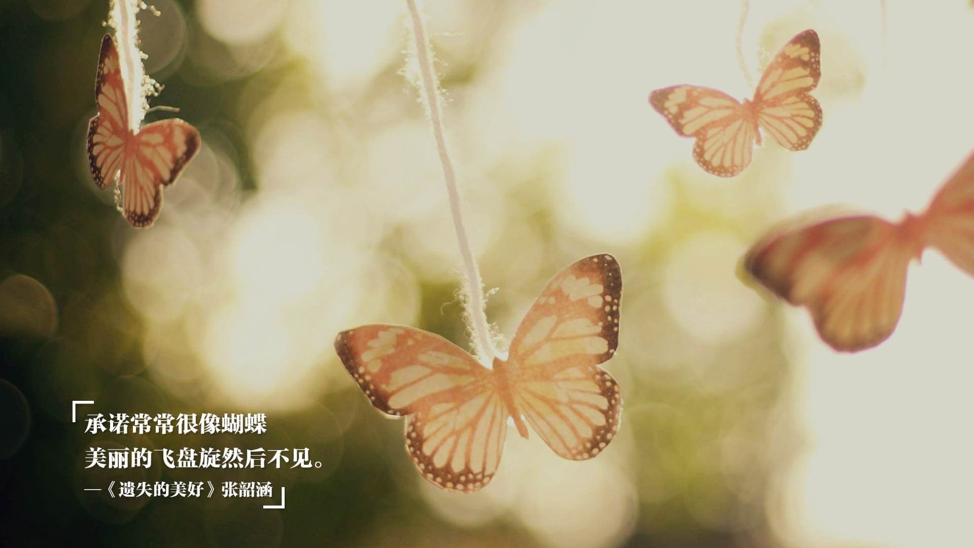 双龙会，绿茵场与乒乓台，见证王者的唯一时刻