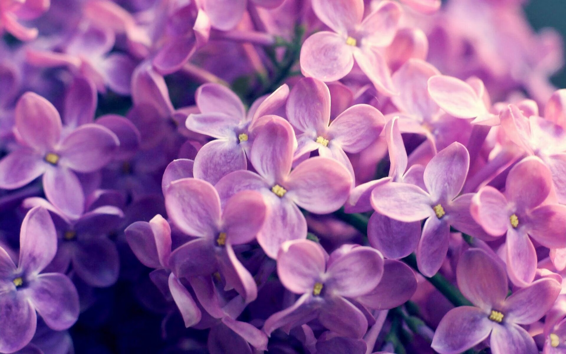 东方奇迹，全韩班掀翻巴斯克雄狮—一场改写认知的抢七风暴