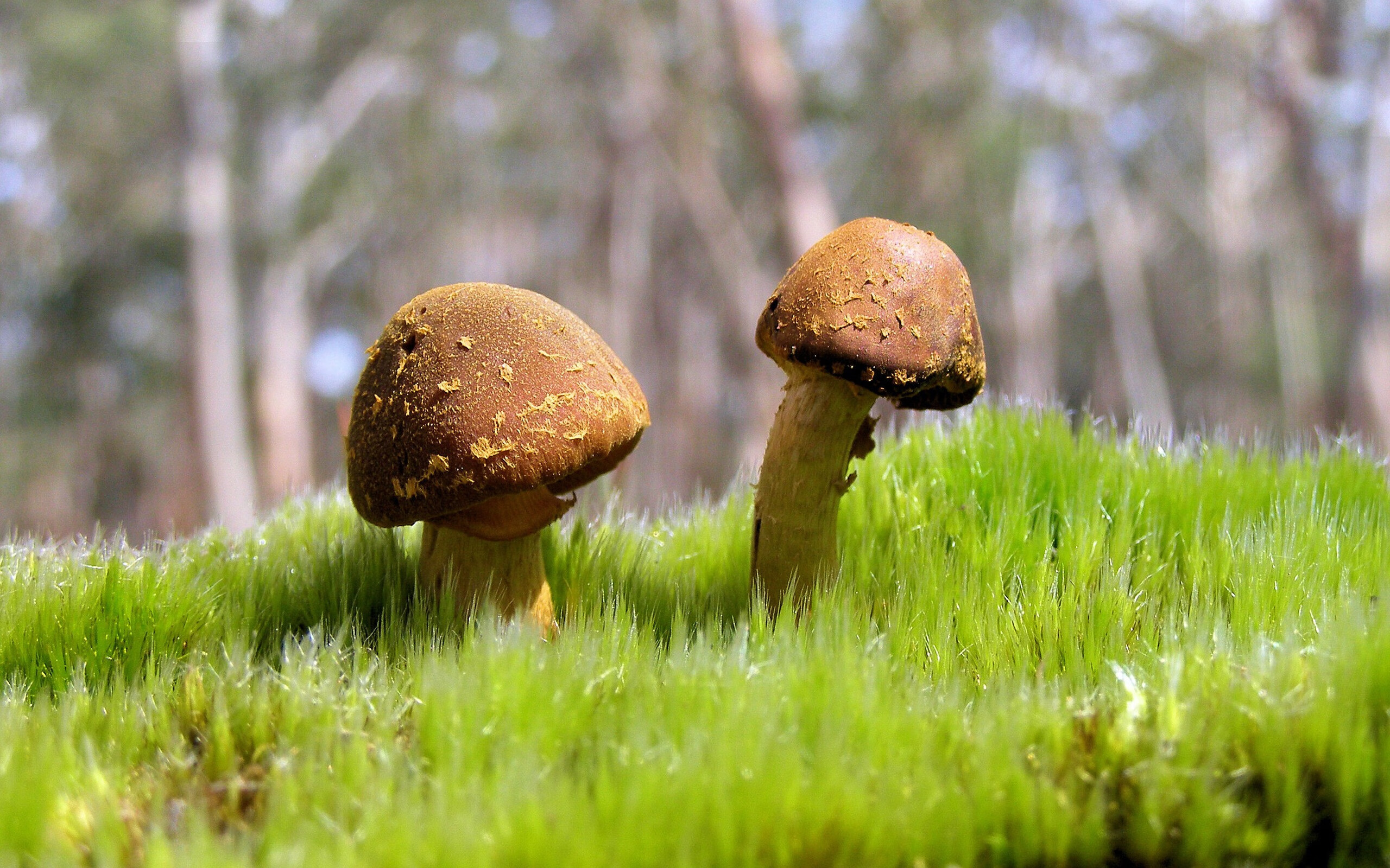 数据之刃，贝恩用战术板之外的胜负手终结西悬念