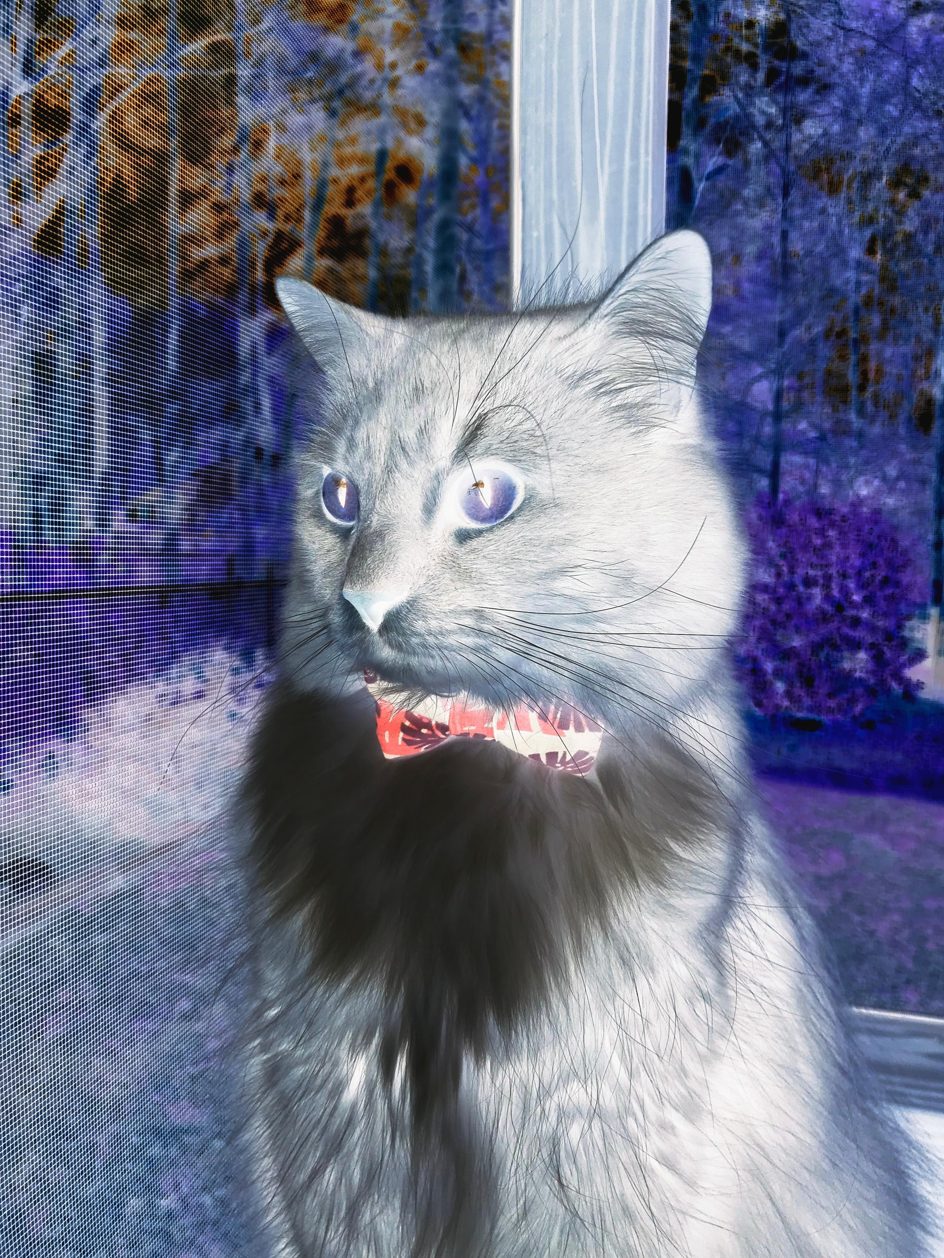 数据迷宫的破壁人,库里用一记错误选择终结掘金精密算法