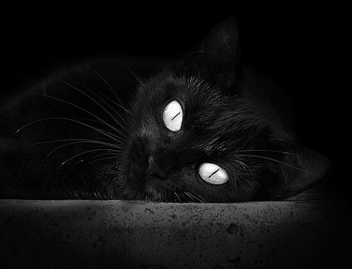 若日尼奥冠军级表现闪耀贝蒂斯主场，意大利末节带走伊朗