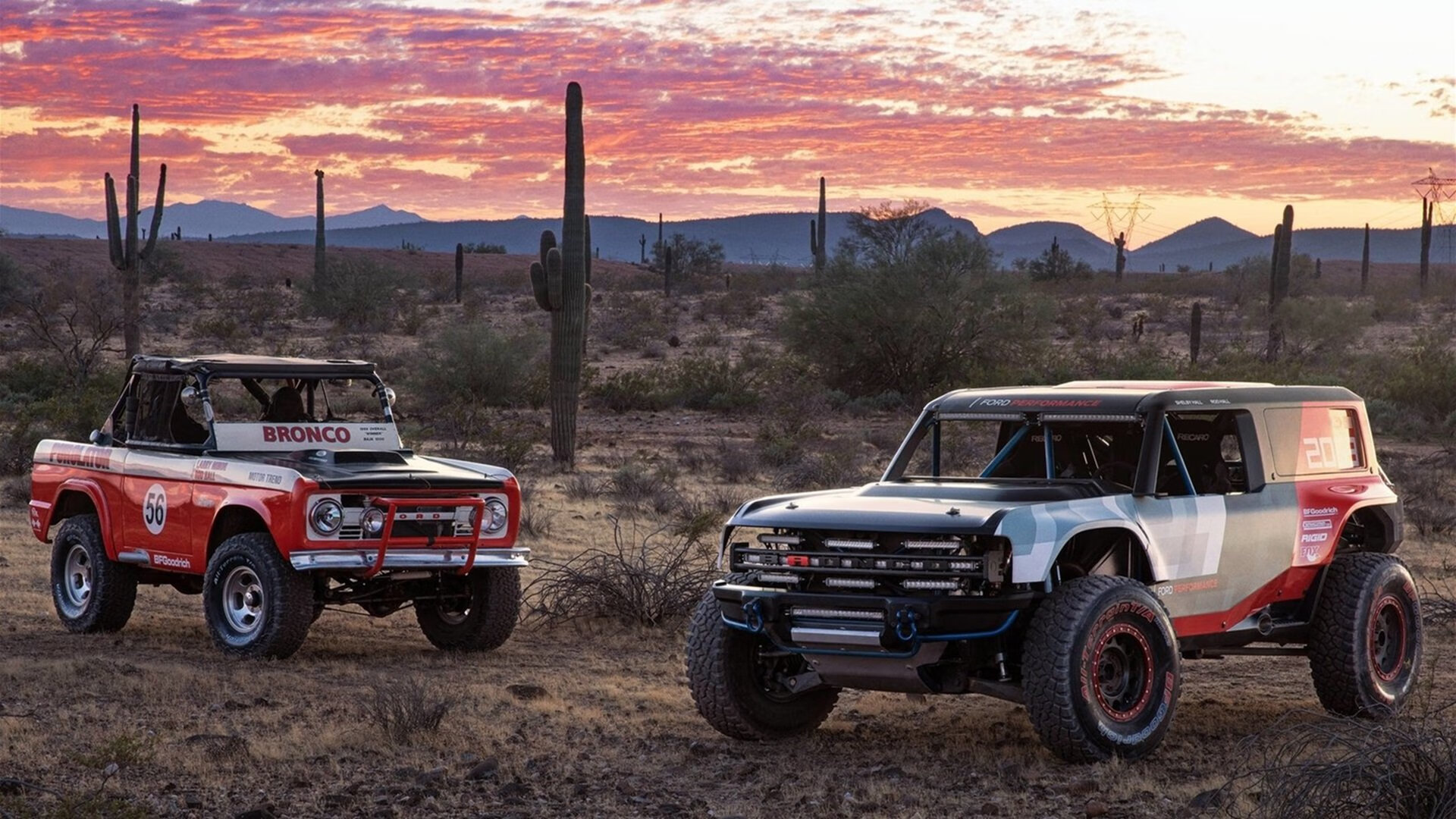 雄鹰利爪撕开坚盾，布伦森，那个在喧嚣中雕刻比赛的人