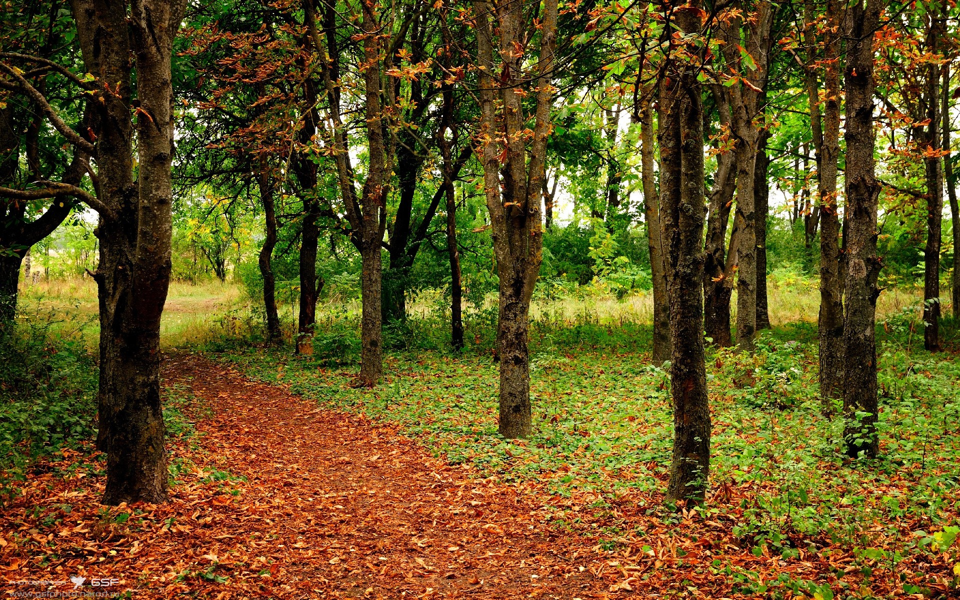 最后三秒的绝杀，布伦森47分之夜，上海男篮的致胜信念