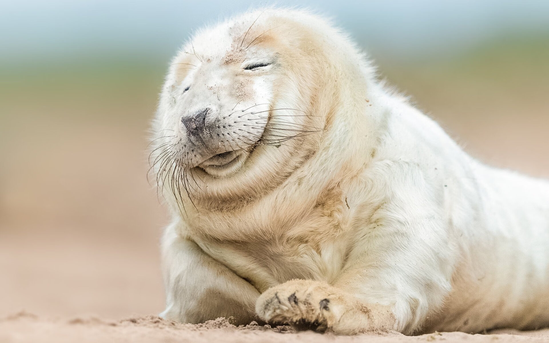 恩比德的持续杀伤，篮网与尼克斯之战中不可阻挡的统治力