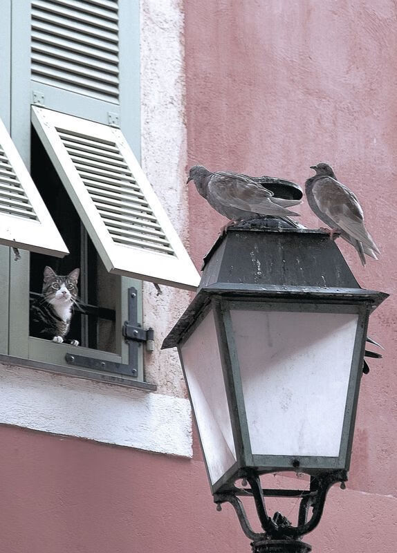 体育世界的唯一解，当绝境需要那个名字