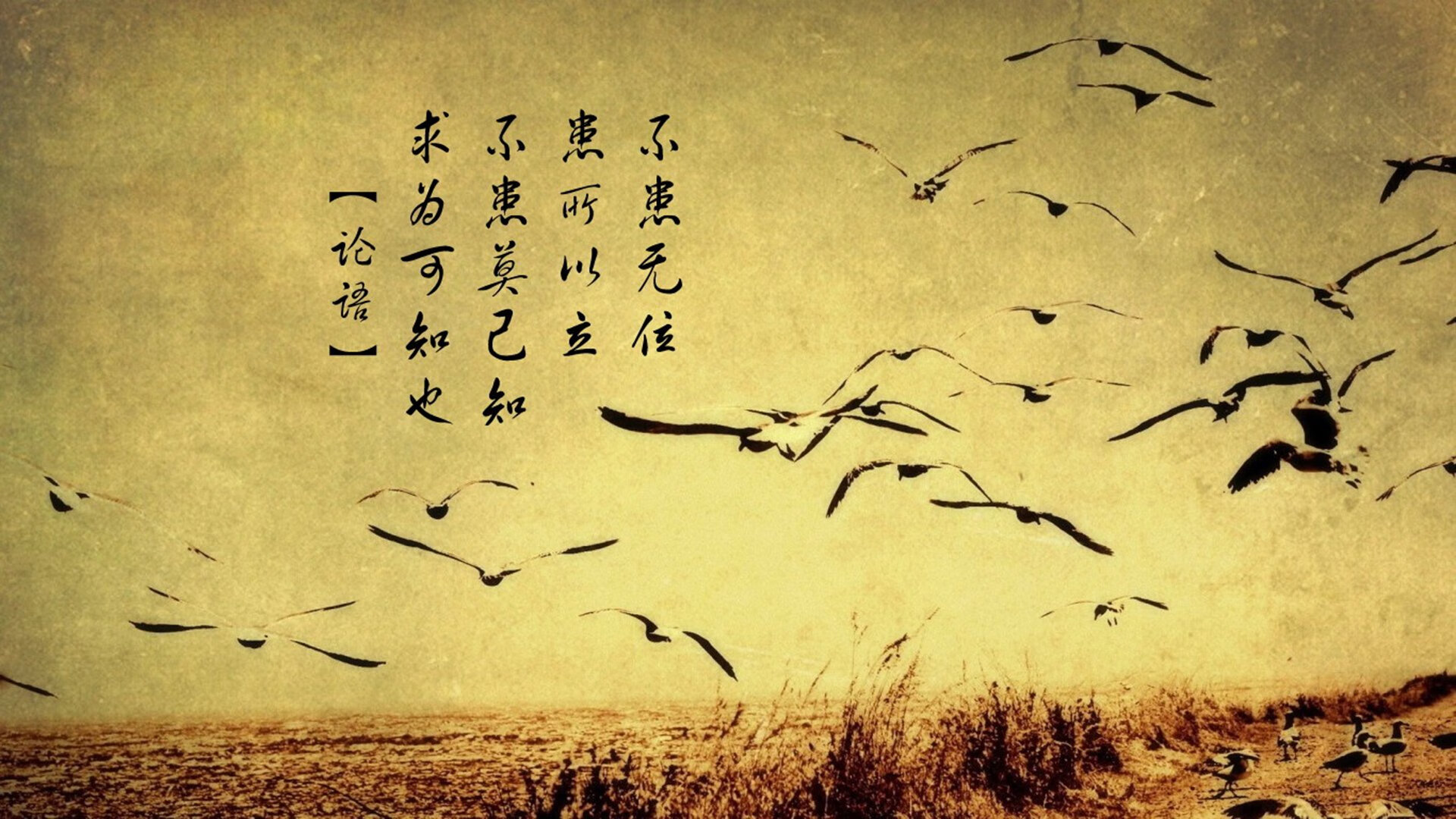 伊萨克数据全面爆炸，比利亚雷亚尔淘汰赛强势过关希腊