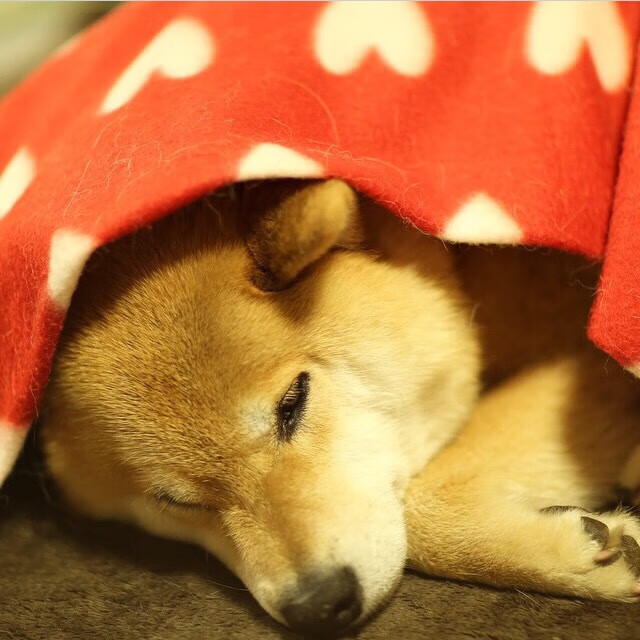 塞维利亚奇迹夜，若日尼奥用智慧掀翻蓝月王朝