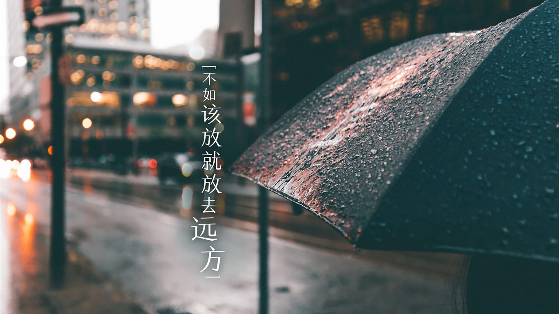 生死线上的逆焰，2026世界杯D组命局之夜，葡萄牙绝杀荷兰，孙兴慜率队神话翻盘